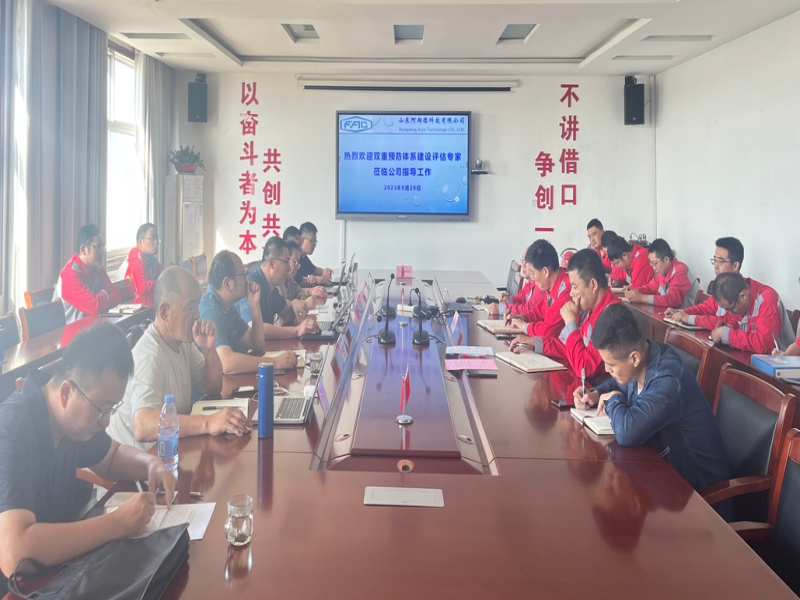 市應(yīng)急局組織專家來公司開展雙重預(yù)防體系建設(shè)評估檢查